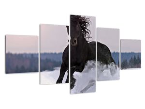 Kép - lovak, a hóban