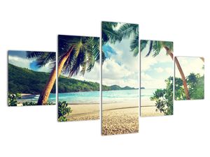 Kép - pálmafák, a tengerparton