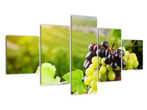 Kép - szőlő