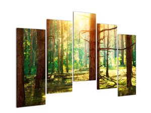 Modern képek - erdő