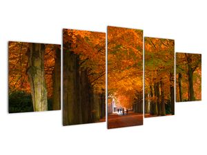 Kép - utazás, keresztül, erdő, ősszel