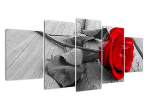 Kép - rózsa, piros virág