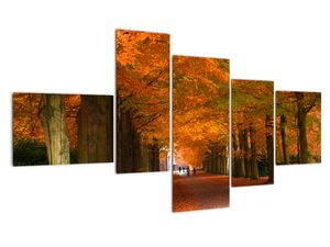 Kép - utazás, keresztül, erdő, ősszel