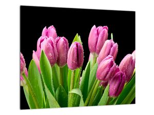 Kép - tulipán