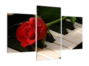Képek - rózsa a zongorán
