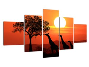 Modern kép - állatok