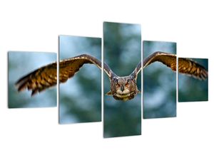 Modern kép - állatok