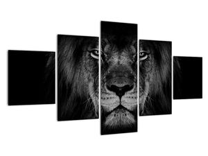 Modern kép - állatok