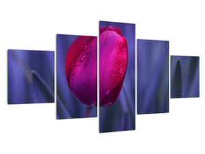 Modern kép - virágok 