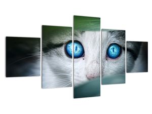 Modern kép - állatok