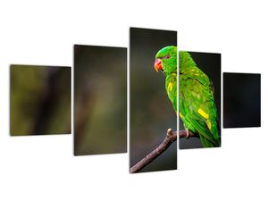 Modern kép - állatok