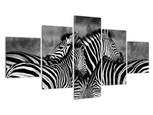 Modern kép - állatok