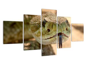 Modern kép - állatok