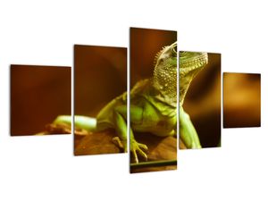 Modern kép - állatok