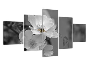 Modern kép - virágok 