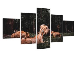 Modern kép - állatok