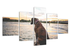 Modern kép - állatok