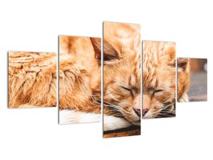 Modern kép - állatok