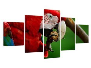 Modern kép - állatok