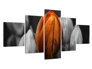 Modern kép - virágok 