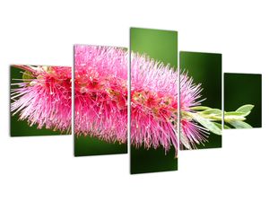 Modern kép - virágok 