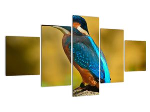 Modern kép - állatok