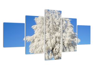 Modern képek - táj