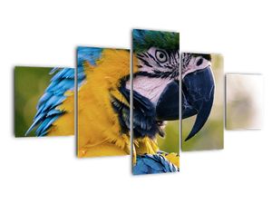 Modern kép - állatok