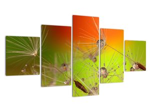 Modern kép - makró