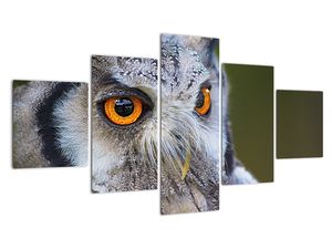 Modern kép - állatok