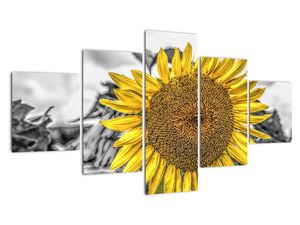 Modern kép - virágok 