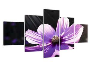 Modern kép - virágok 