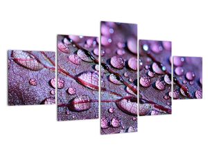 Modern kép - makró