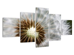 Modern kép - makró