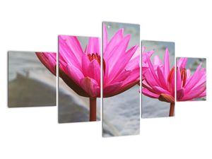 Modern kép - makró