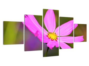 Modern kép - virágok