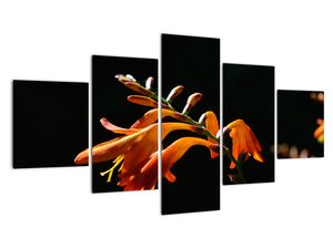 Modern kép - makró