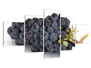 Modern kép - makró