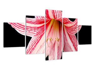 Modern kép - virágok 