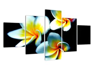 Modern kép - makró