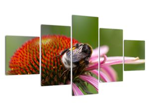 Modern kép - állatok