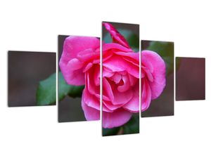 Modern kép - virágok