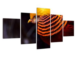 Modern kép - állatok