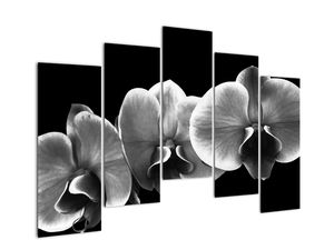 Modern kép - virágok 