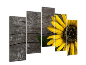 Modern kép - virágok 