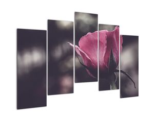 Modern kép - virágok 