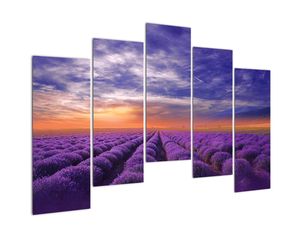 Modern kép - vidékek