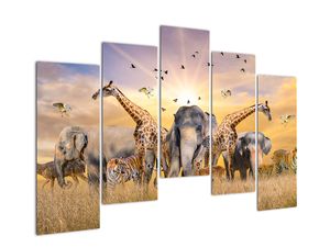 Modern kép - állatok