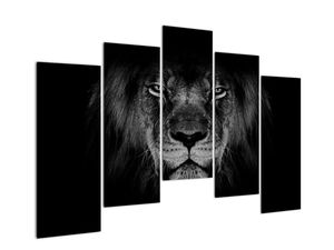 Modern kép - állatok