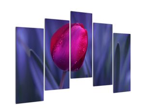 Modern kép - virágok 